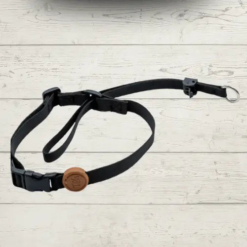 Coleira Cabresto Antipuxão para Cães Controle Elegante | Caprioli Shop Acessórios Pets Black / P