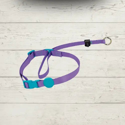 Coleira Cabresto Antipuxão para Cães Controle Elegante | Caprioli Shop Acessórios Pets Lilás / P