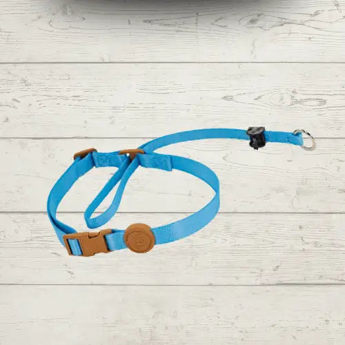 Coleira Cabresto Antipuxão para Cães Controle Elegante | Caprioli Shop Acessórios Pets Azul / P