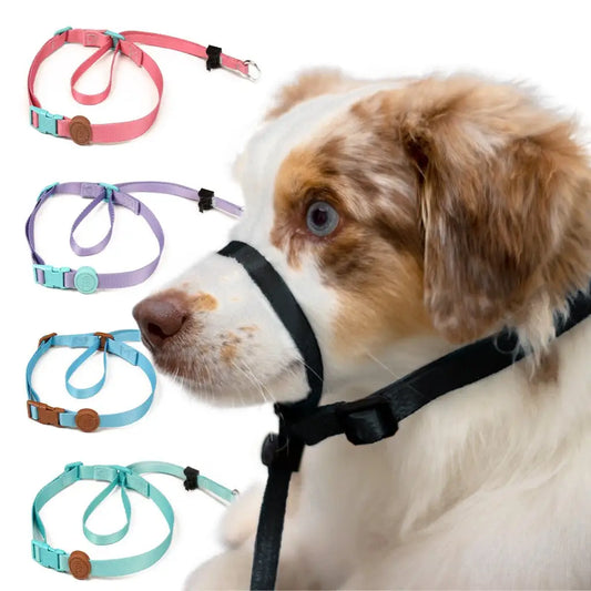 Coleira Cabresto Antipuxão para Cães Controle Elegante | Caprioli Shop Adestramento cachorro