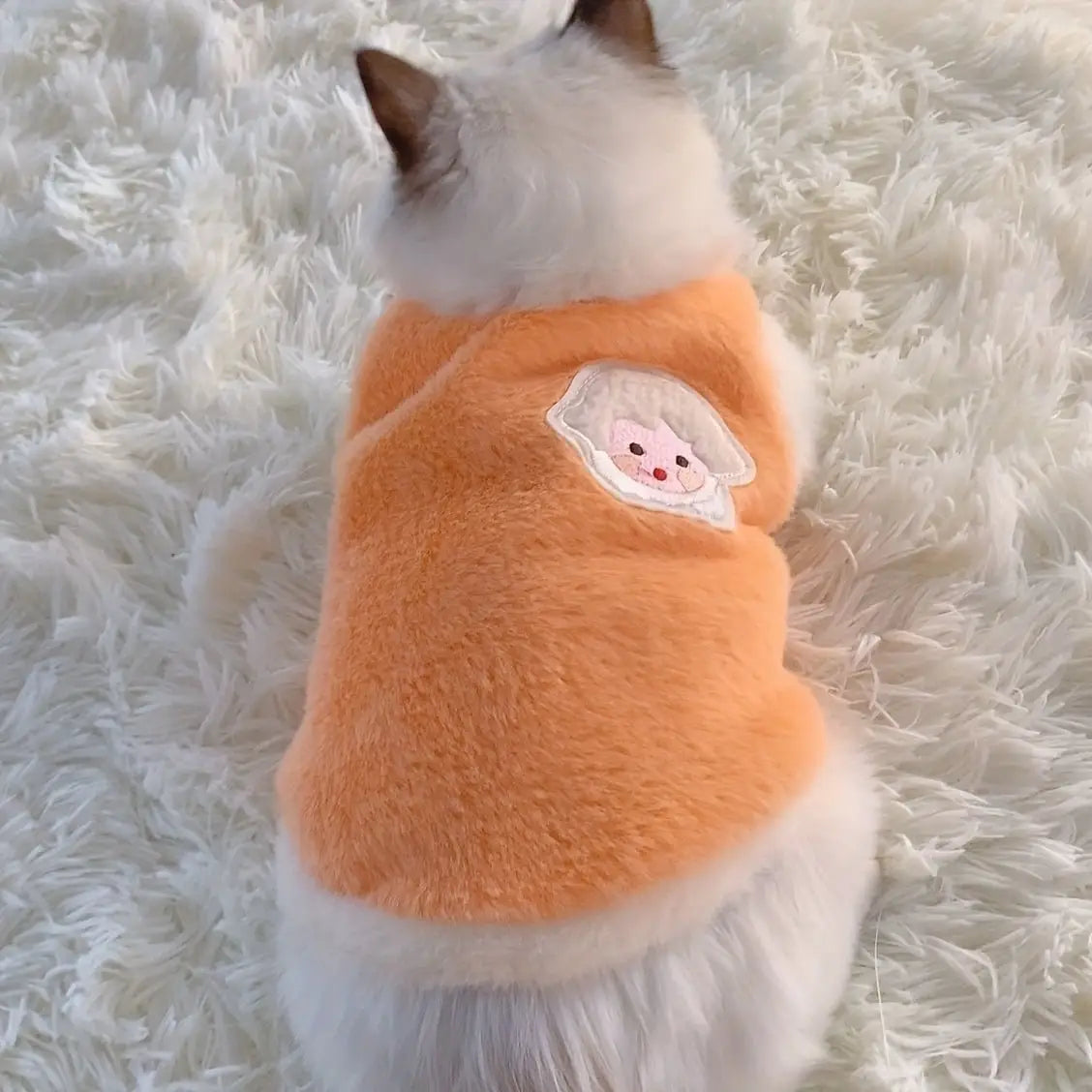Colete Inverno Gato Premium Tecido Espesso Anti Queda Conforto Pet | Caprioli Inter roupa para gato