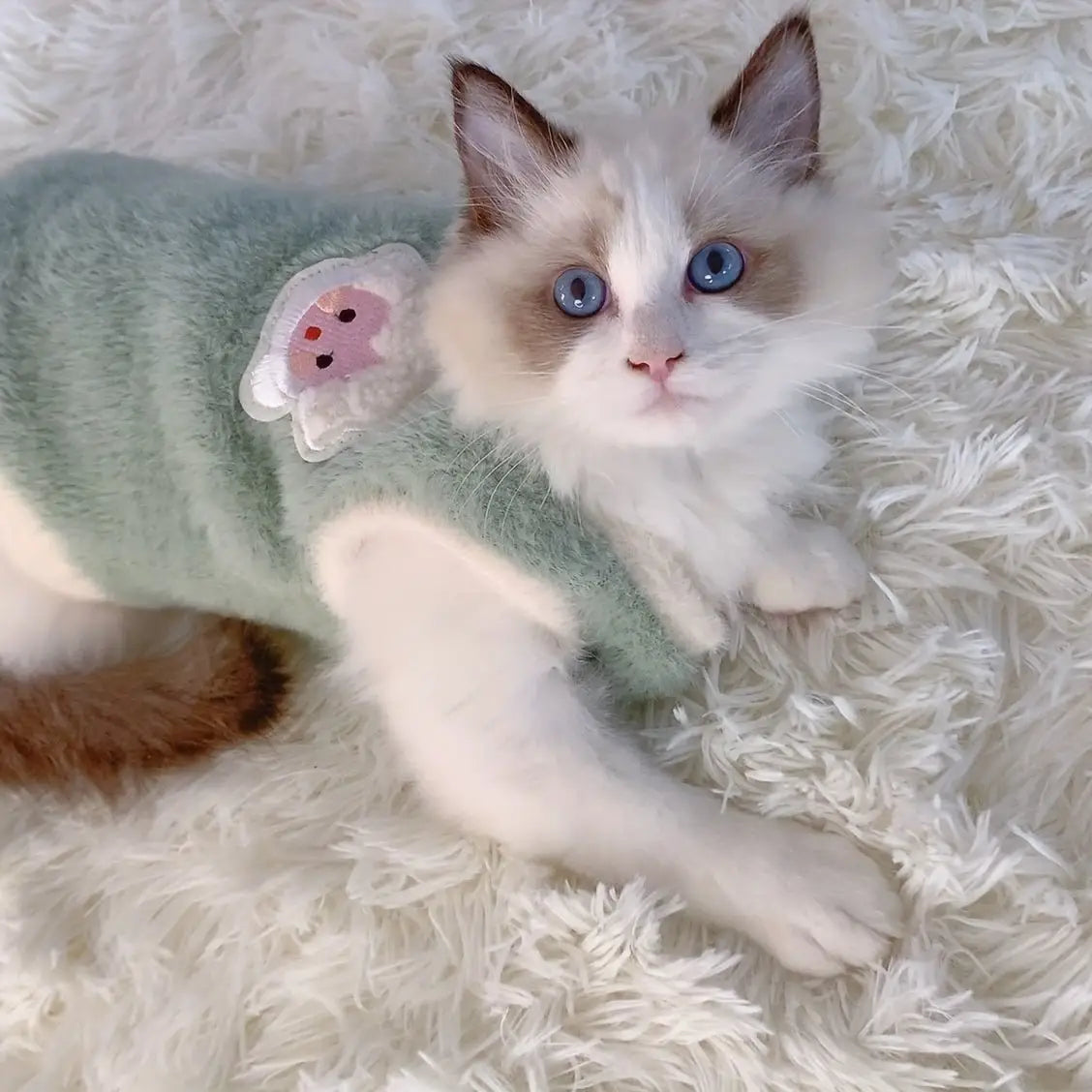 Colete Inverno Gato Premium Tecido Espesso Anti Queda Conforto Pet | Caprioli Inter roupa para gato