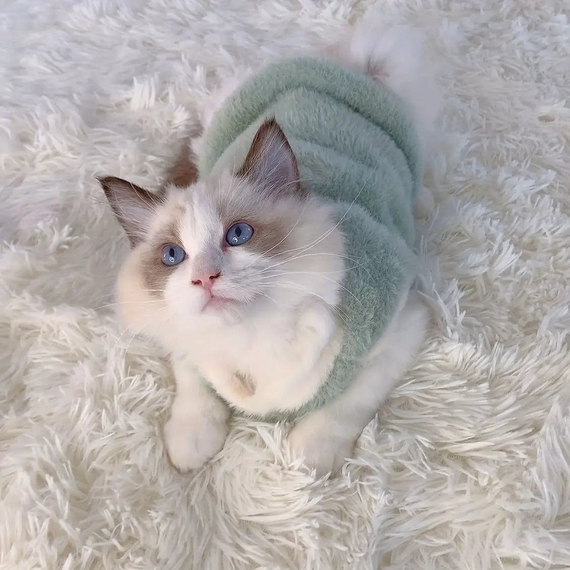 Colete Inverno Gato Premium Tecido Espesso Anti Queda Conforto Pet | Caprioli Inter roupa para gato