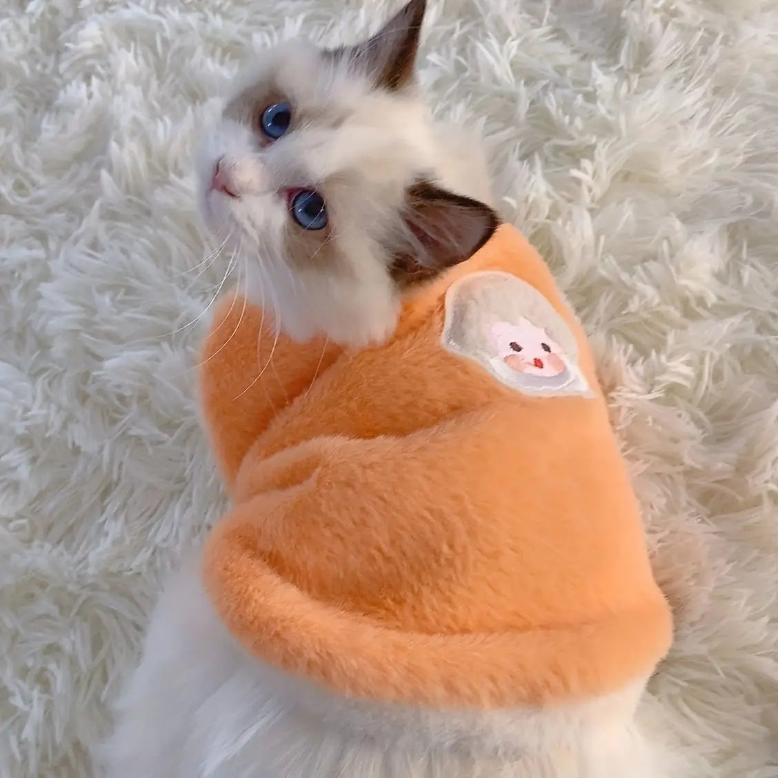 Colete Inverno Gato Premium Tecido Espesso Anti Queda Conforto Pet | Caprioli Inter roupa para gato Laranja / XS