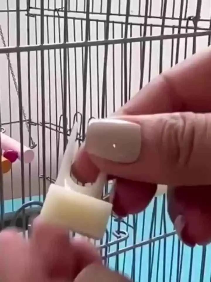 Conjunto 6 Garfos para Pássaros PP Durável + Fácil Limpar | Caprioli Inter Comedouro e Bebedouro