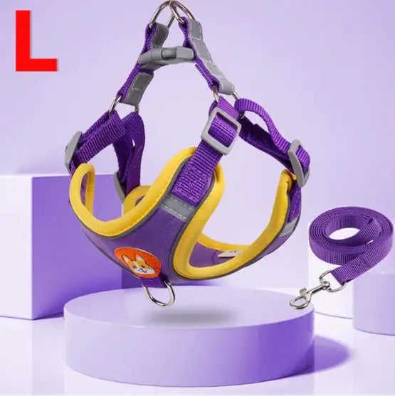 Conjunto de Coleira Peitoral Ajustável para Cães e Gatos – Resistente Leve | Caprioli Shop coleiras Roxo,L/7 10 Kg