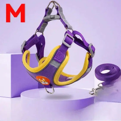 Conjunto de Coleira Peitoral Ajustável para Cães e Gatos – Resistente Leve | Caprioli Shop coleiras