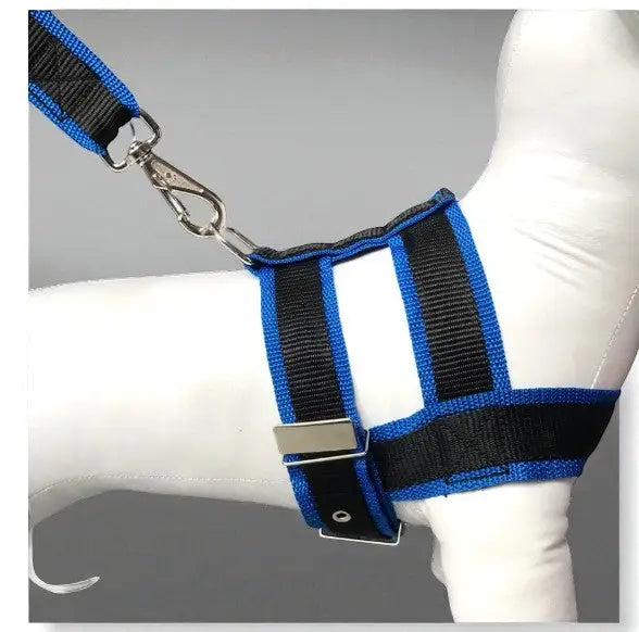 Conjunto Peitoral com Guia de Nylon Duplo Resistente para Cães Grandes | Caprioli Shop Acessórios Pets Azul / 5