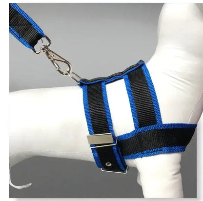 Conjunto Peitoral com Guia de Nylon Duplo Resistente para Cães Grandes | Caprioli Shop peitorais cachorro Azul / 5