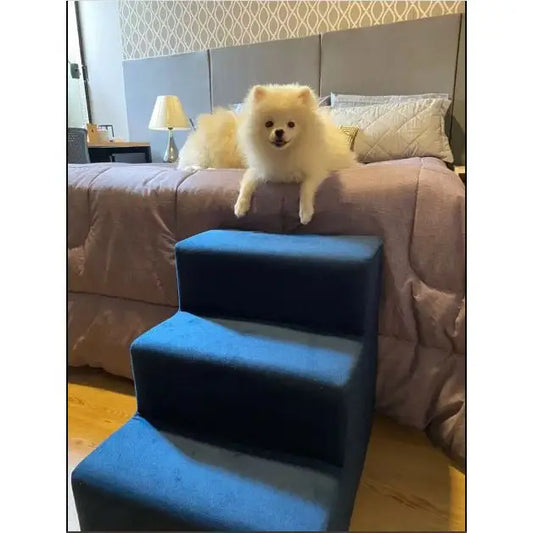Escada para Pet 3 Degraus Conforto e Segurança | Caprioli Shop escada cachorro