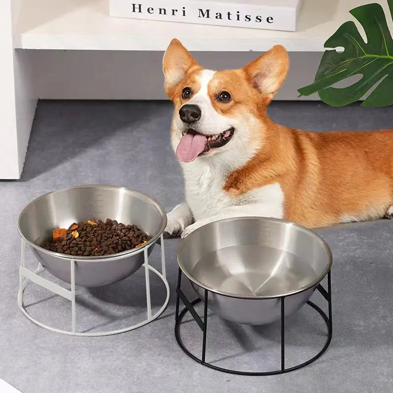 Bebedouro para cães em aço inoxidável antichoque Durável e segura | Caprioli Inter