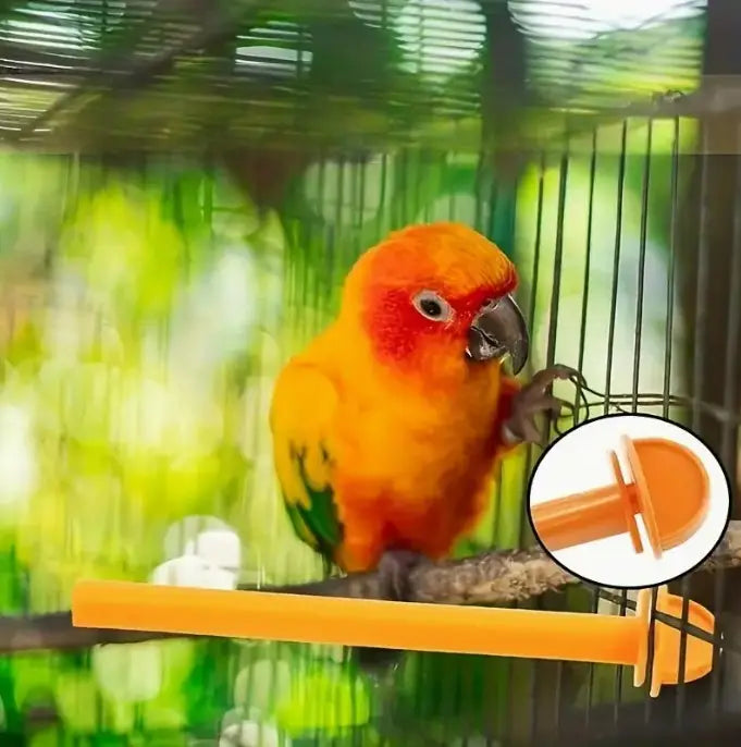 Kit com 10 pçs de Poleiros Pássaros Plástico Coloridos | Caprili Inter - Brinquedos e Acessórios para gaiola