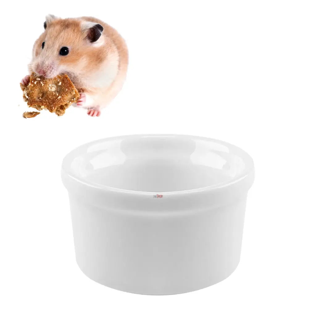 Kit comedouro e bebedouro de porcelana para roedores | Caprili Shop