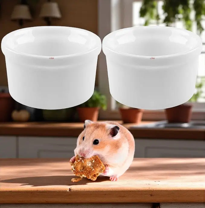 Kit comedouro e bebedouro de porcelana para roedores | Caprili Shop