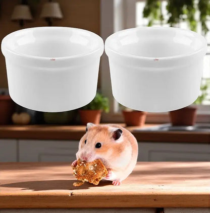 Kit comedouro e bebedouro de porcelana para roedores | Caprili Shop