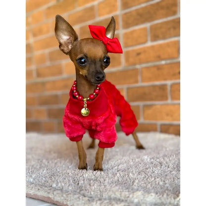 Macacão Inverno Pipoquinha Quente e Estiloso | Caprioli Shop Acessórios para Pets
