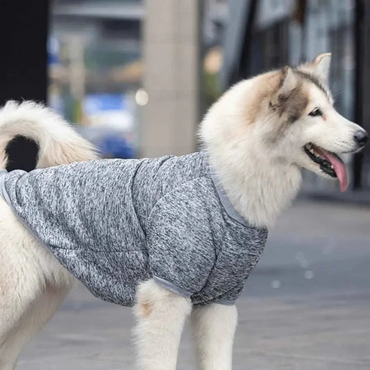 Moletom Elegante para Cães Médios e Grandes | Caprioli Shop roupa cachorro Gray / 4XL
