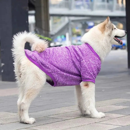 Moletom Elegante para Cães Médios e Grandes | Caprioli Shop Acessórios Pets Purple / 6XL