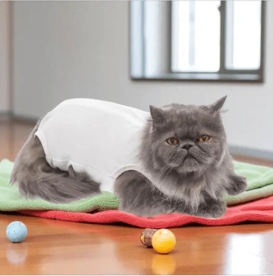 Roupa Cirúrgica Unissex para Gatos - Conforto Premium | Caprioli Shop - N°0 - roupas e acessórios para gatos