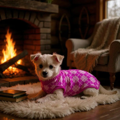 Roupinha de Lã Premium para Cães Estilo e Conforto | Caprioli Shop Acessórios Pets