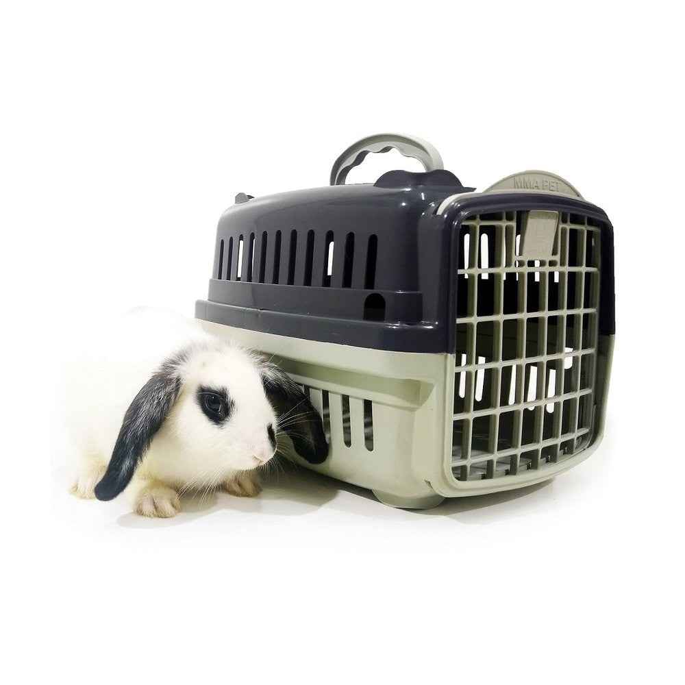 Gray Transport Box 30x22x22cm - Safety and Comfort when Traveling - Premium Pet Product Caprili Shop
