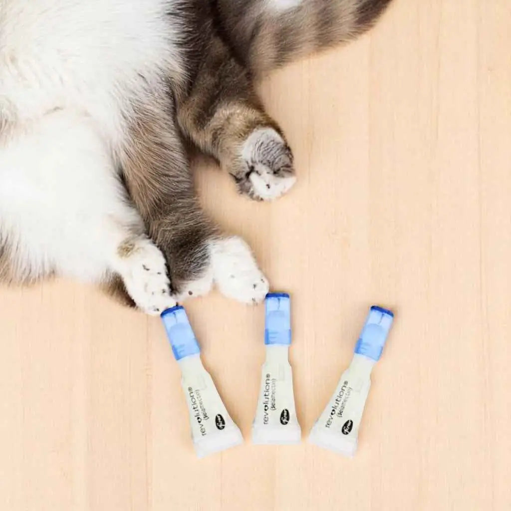 Revolution Cat Flea Tube Original + Total Protection | Caprioli Shop